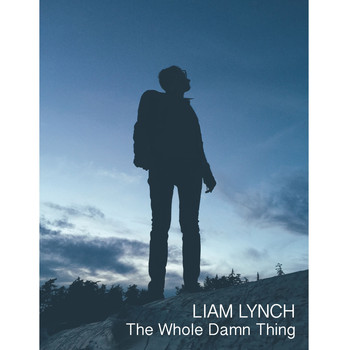 Liam Lynch - The Whole Damn Thing