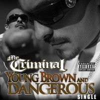 Mr. Criminal - Young, Brown and Dangerous (Explicit)