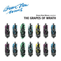 The Grapes Of Wrath - The Grapes Of Wrath: Brave New Waves Session
