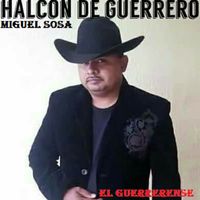 Halcon De Guerrero - El Guerrerense
