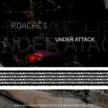 Roaches - Under Attack