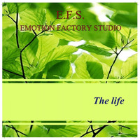 Emotion Factory Studio - The Life