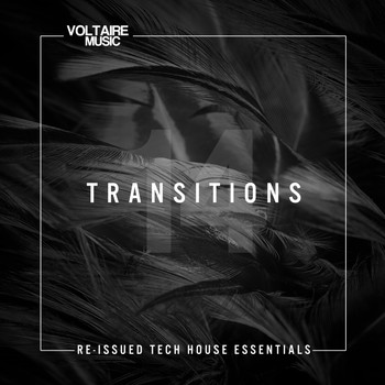 Various Artists - Transition Issue 14