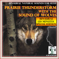Amadeus - Binaural Natural Sounds for Sleep: Prairie Thunderstorm with the Sound of Wolves: 120 Minutes Special Edition