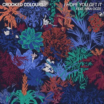 Crooked Colours - I Hope You Get It (feat. Ivan Ooze)