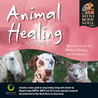 Stuart Jones - Animal Healing Volume II