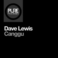 Dave Lewis - Canggu