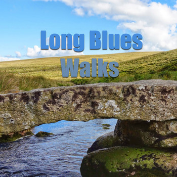 Various Artists - Long Blues Walks
