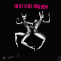The Lovecats - Just Like Heaven