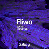 Fliwo - Switch / Hypnotize