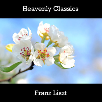 Franz Liszt - Heavenly Classics Franz Liszt
