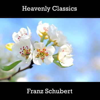 Franz Schubert - Heavenly Classics Franz Schubert