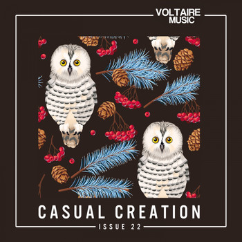 Various Artists - Casual Creation Issue 22