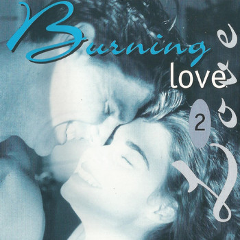 Various Artists - Burning Love 2