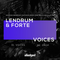 Lendrum & Forte - Voices