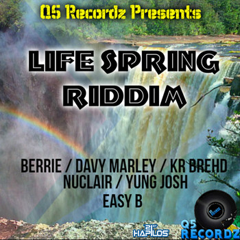 Various Artists - Life Spring Riddim