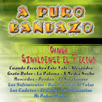 Banda Sinaloense El Recodo - A Puro Bandazo