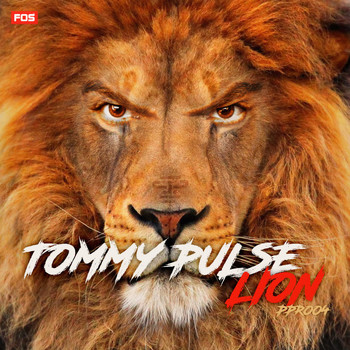 Tommy Pulse - Lion