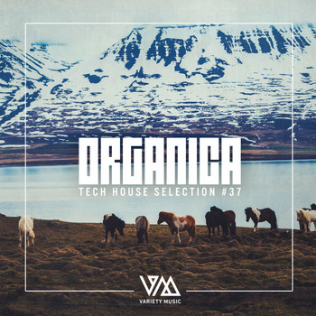 Various Artists - Organica #37