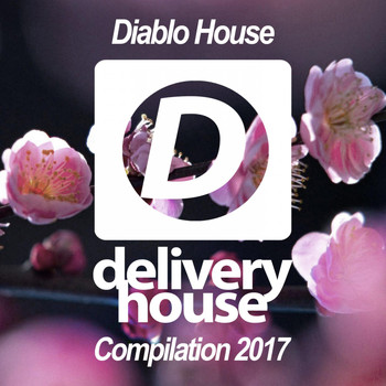 Various Artists - Diablo House 2017