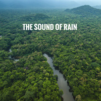 Rain Sounds Nature Collection, Rain Sounds Sleep and Ocean Sounds Collection - The Sound of Rain