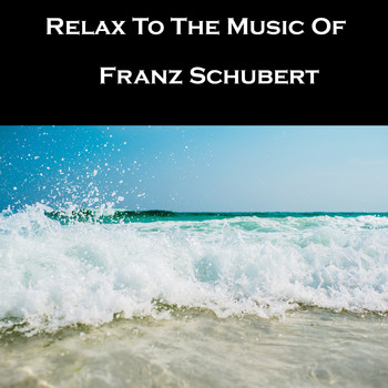 Franz Schubert - Relax To The Music Of Franz Schubert