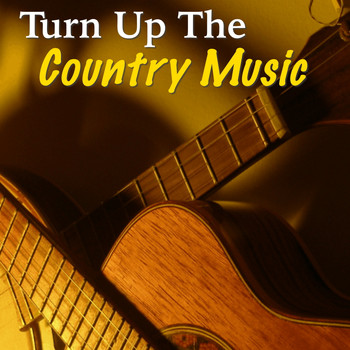 Various Artists - Turn Up The Country Music