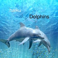 Haiku - Dolphins