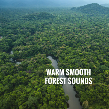 Rain Sounds Nature Collection, Rain Sounds Sleep and Ocean Sounds Collection - Warm Smooth Forest Sounds