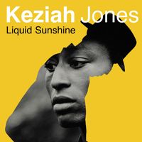 Keziah Jones / - Liquid Sunshine