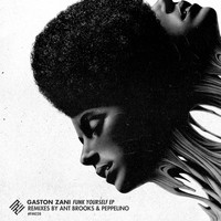Gaston Zani - Funk Yourself