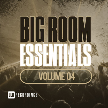 Various Artists - Big Room Essentials, Vol. 04