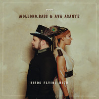 Mollono.Bass & Ava Asante - Birds Flying High
