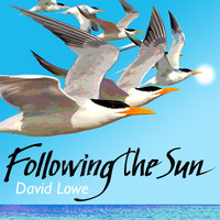 David Lowe - Following the Sun