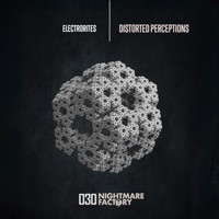 Electrorites - Distorted Perceptions