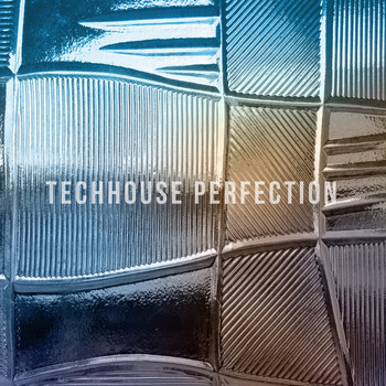 Various Artists - Techhouse Perfection