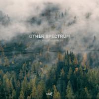 Other Spectrum - The Higgs Boson EP