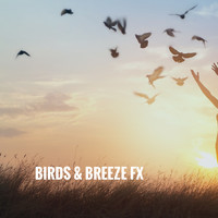 Rain, Ocean Sounds and Rainfall - Birds & Breeze FX