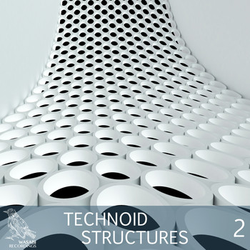Various Artists - Technoid Structures, Vol. 2
