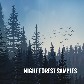 Rain Sounds, White Noise Therapy and Sleep Sounds of Nature - Night Forest Samples