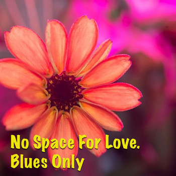 Various Artists - No Space For Love. Blues Only