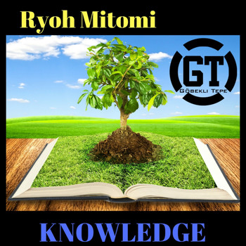 Ryoh Mitomi - Knowledge