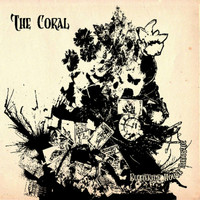 The Coral - Butterfly House (Acoustic Version)