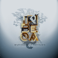Tribeqa - Experiment Remixes