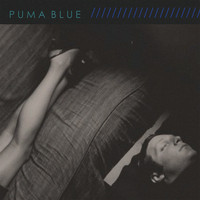 puma blue want me instrumental