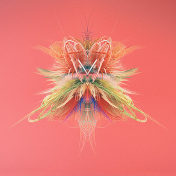 Kloves - Dimensions