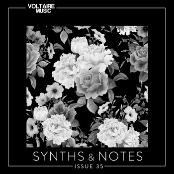 Various Artists - Synths and Notes 35