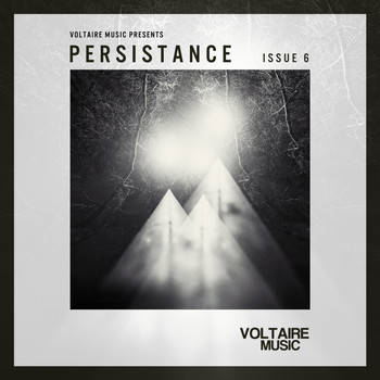 Various Artists - Voltaire Music pres. Persistence #6