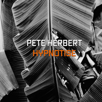 Pete Herbert - Hypnotize