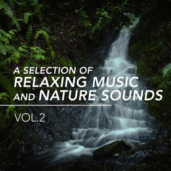 Nature Sound Collection, Sleep Sounds of Nature, Sons da Natureza - A Selection of Relaxing Music and Nature Sounds, Vol. 2